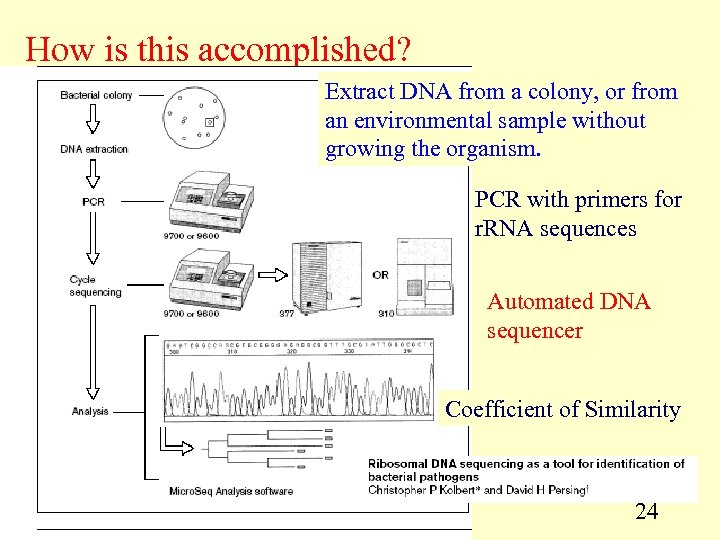 How is this accomplished? Extract DNA from a colony, or from an environmental sample