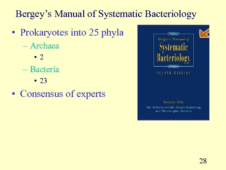 Bergey’s Manual of Systematic Bacteriology • Prokaryotes into 25 phyla – Archaea • 2