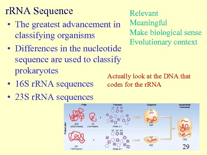 r. RNA Sequence Relevant • The greatest advancement in Meaningful Make biological sense classifying