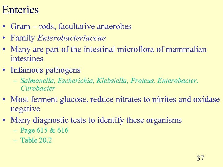 Enterics • Gram – rods, facultative anaerobes • Family Enterobacteriaceae • Many are part