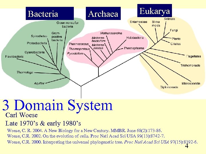 Bacteria Archaea Eukarya 3 Domain System Carl Woese Late 1970’s & early 1980’s Woese,