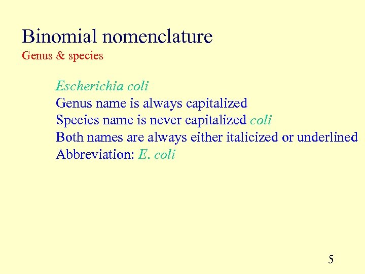 Binomial nomenclature Genus & species Escherichia coli Genus name is always capitalized Species name