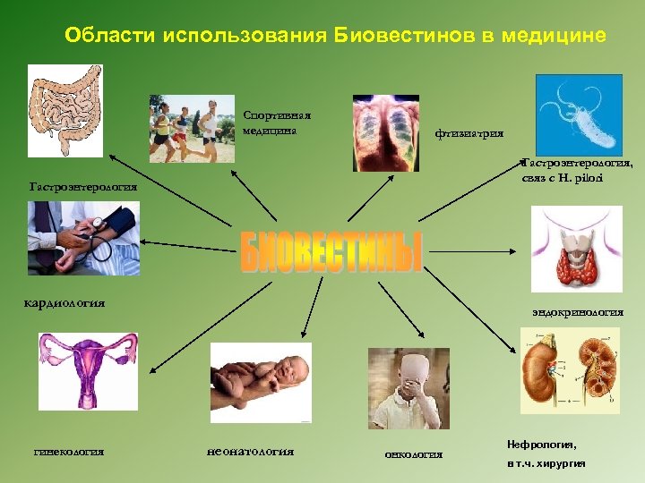 Области использования Биовестинов в медицине Спортивная медицина фтизиатрия Гастроэнтерология, связ с H. pilori Гастроэнтерология