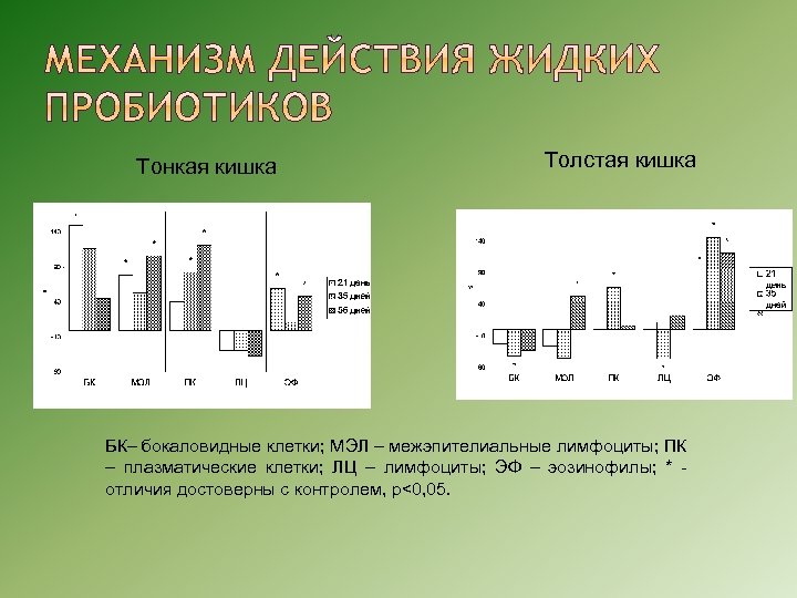 Тонкая кишка Толстая кишка БК– бокаловидные клетки; МЭЛ – межэпителиальные лимфоциты; ПК – плазматические