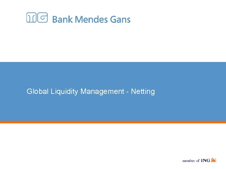 Global Liquidity Management - Netting 