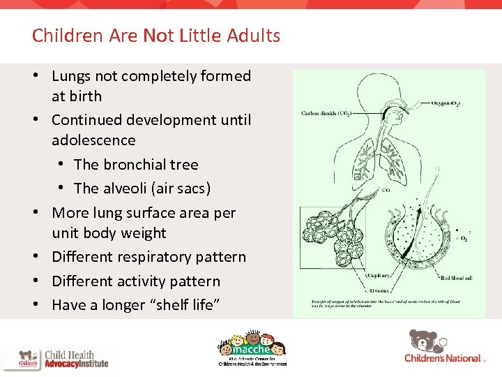 Children Are Not Little Adults • Lungs not completely formed at birth • Continued