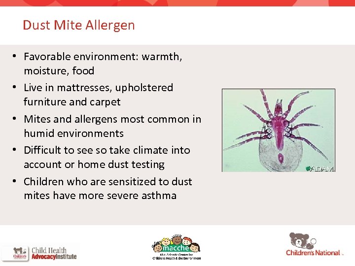 Dust Mite Allergen • Favorable environment: warmth, moisture, food • Live in mattresses, upholstered