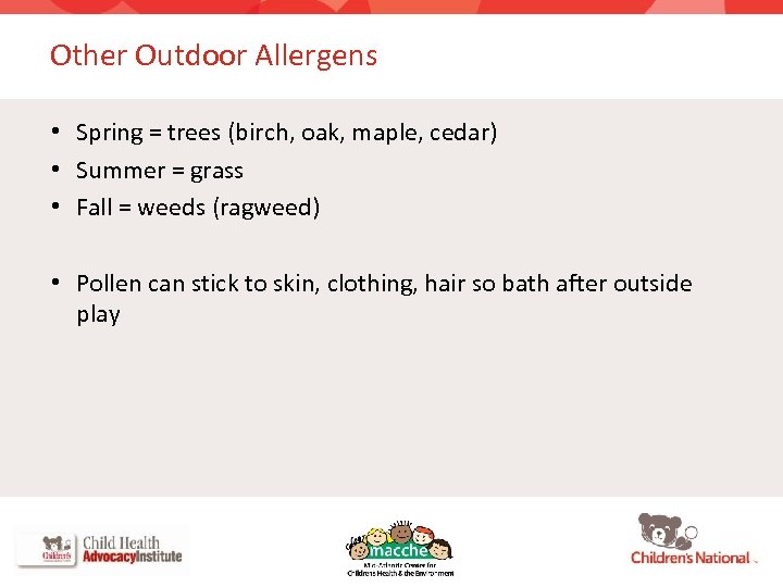 Other Outdoor Allergens • Spring = trees (birch, oak, maple, cedar) • Summer =
