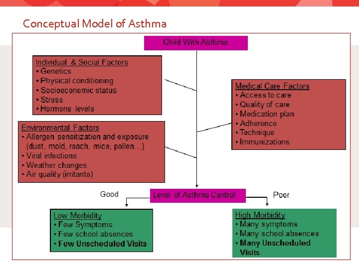 Conceptual Model of Asthma 7 