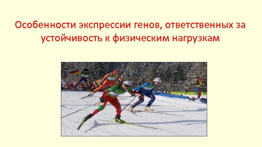 Особенности экспрессии генов, ответственных за устойчивость к физическим нагрузкам 