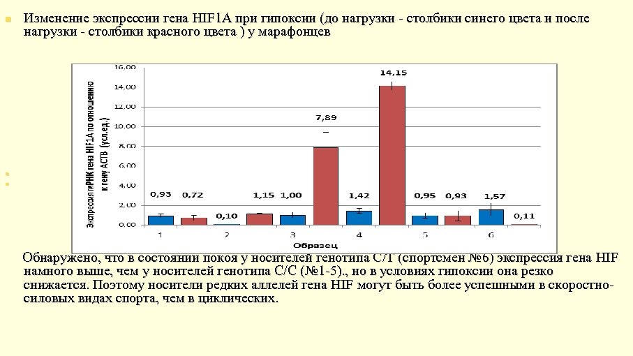 n Изменение экспрессии гена HIF 1 A при гипоксии (до нагрузки - столбики синего