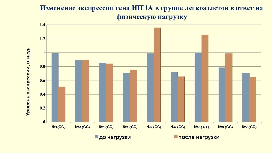 Изменение экспрессии гена HIF 1 A в группе легкоатлетов в ответ на физическую нагрузку