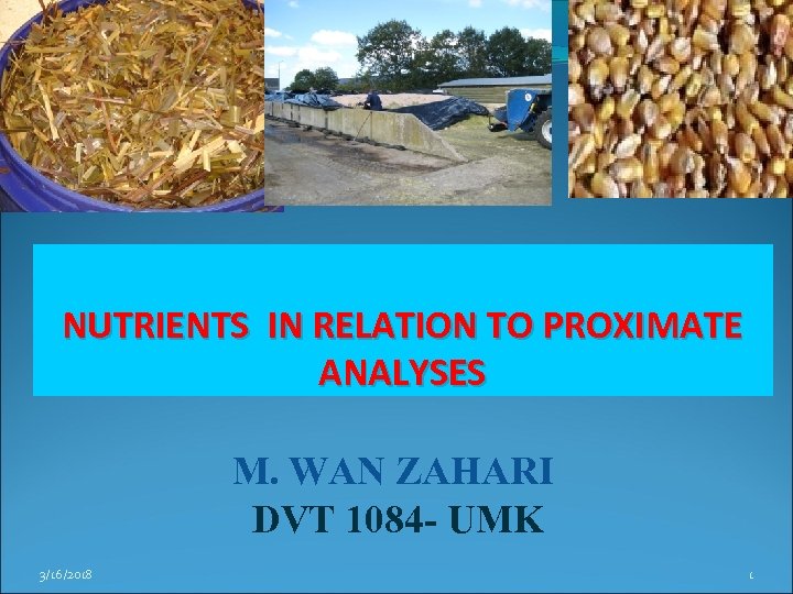 NUTRIENTS IN RELATION TO PROXIMATE ANALYSES M. WAN ZAHARI DVT 1084 - UMK 3/16/2018