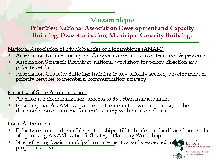 Mozambique Priorities: National Association Development and Capacity Building, Decentralisation, Municipal Capacity Building. National Association