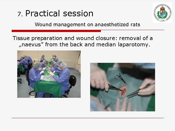 7. Practical session Wound management on anaesthetized rats Tissue preparation and wound closure: removal