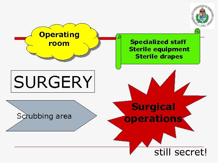 Operating room Specialized staff Sterile equipment Sterile drapes SURGERY Scrubbing area Surgical operations still