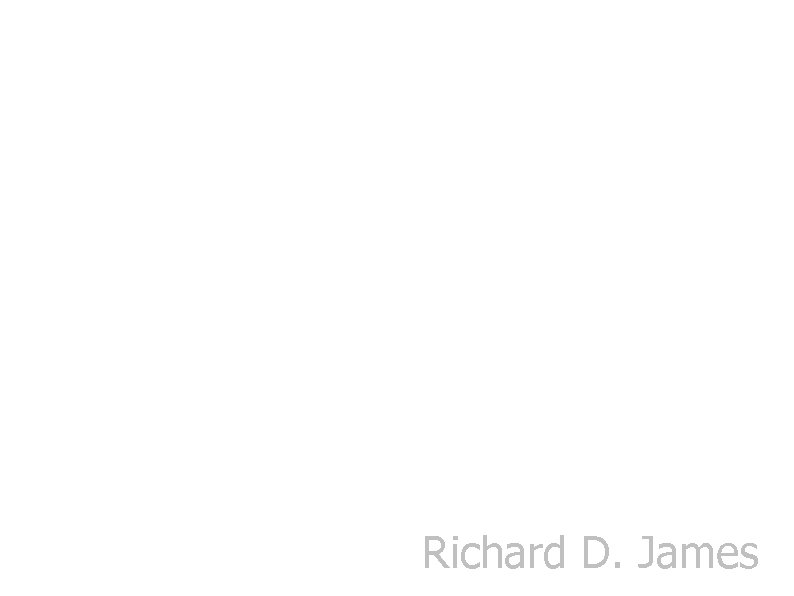 Richard D. James 