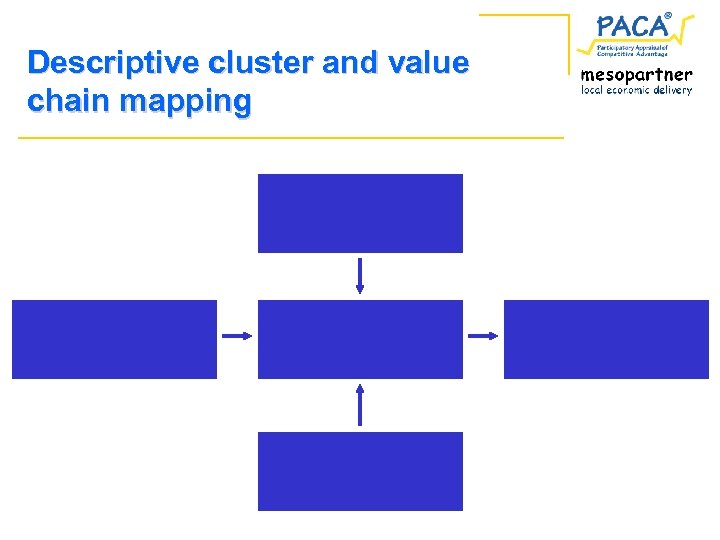 Descriptive cluster and value chain mapping 