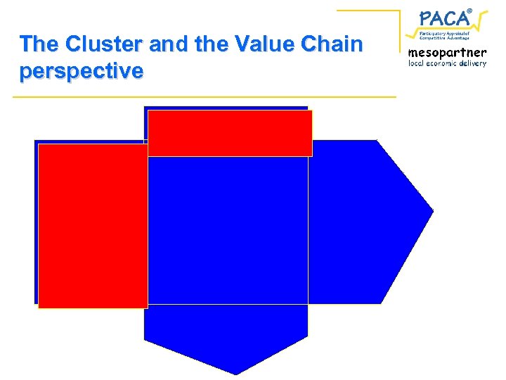 The Cluster and the Value Chain perspective 