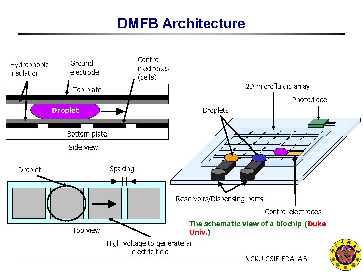 DMFB Architecture Hydrophobic insulation Control electrodes (cells) Ground electrode 2 D microfluidic array Top