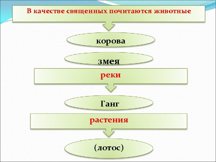 В качестве священных почитаются животные корова змея реки Ганг растения (лотос) 