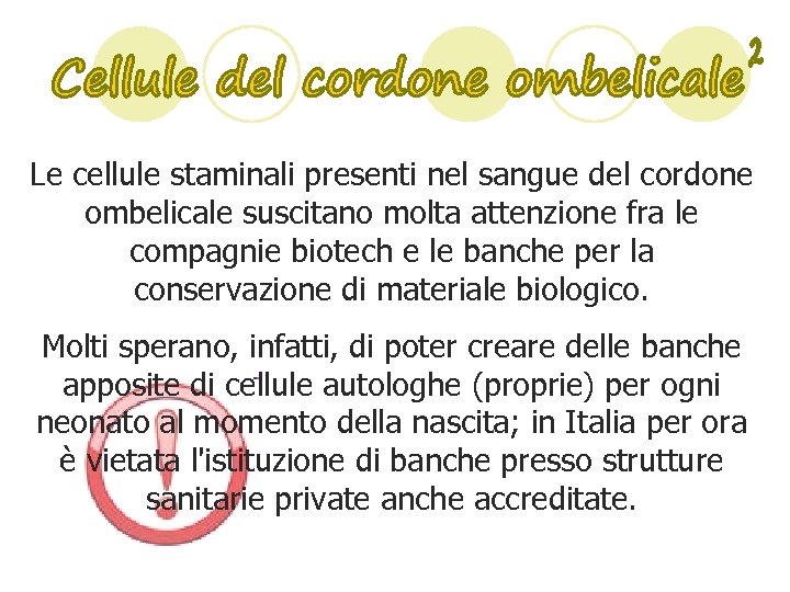 Le cellule staminali presenti nel sangue del cordone ombelicale suscitano molta attenzione fra le