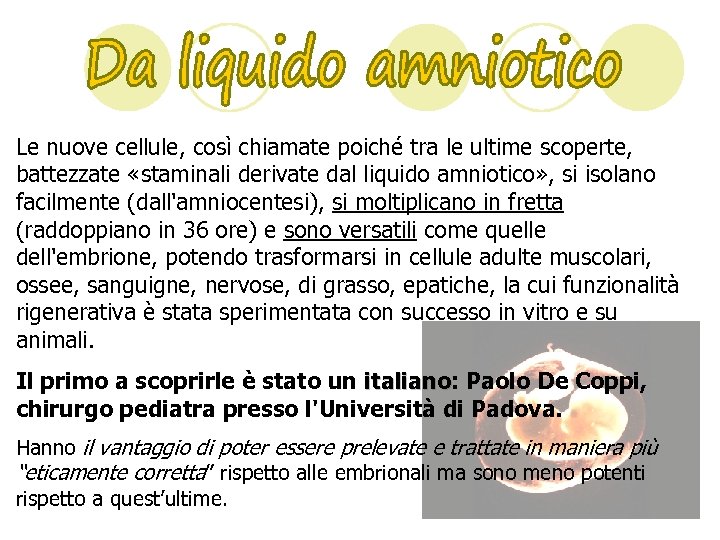 Le nuove cellule, così chiamate poiché tra le ultime scoperte, battezzate «staminali derivate dal