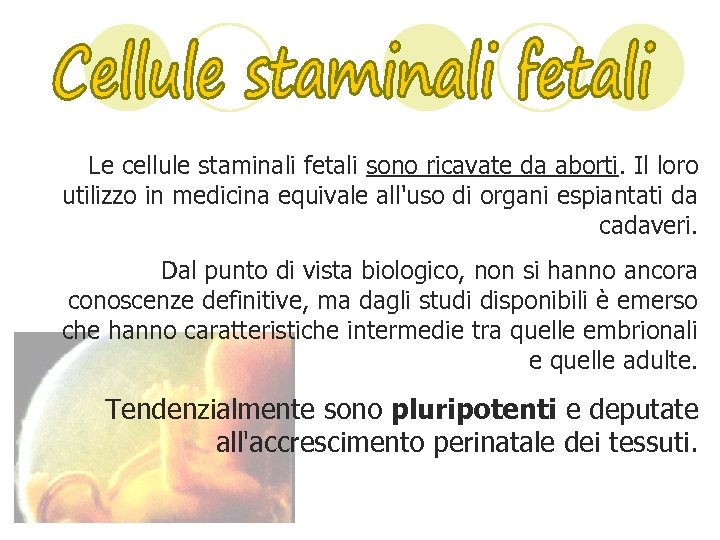 Le cellule staminali fetali sono ricavate da aborti. Il loro utilizzo in medicina equivale