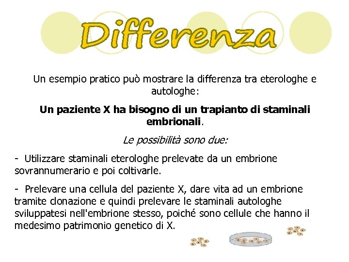 Un esempio pratico può mostrare la differenza tra eterologhe e autologhe: Un paziente X