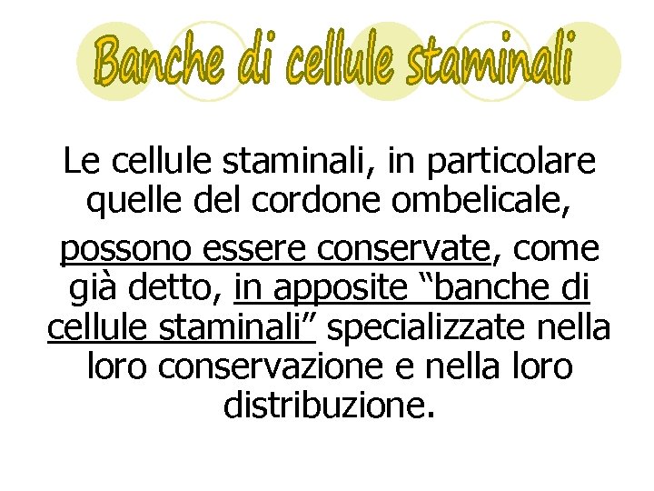 Le cellule staminali, in particolare quelle del cordone ombelicale, possono essere conservate, come già