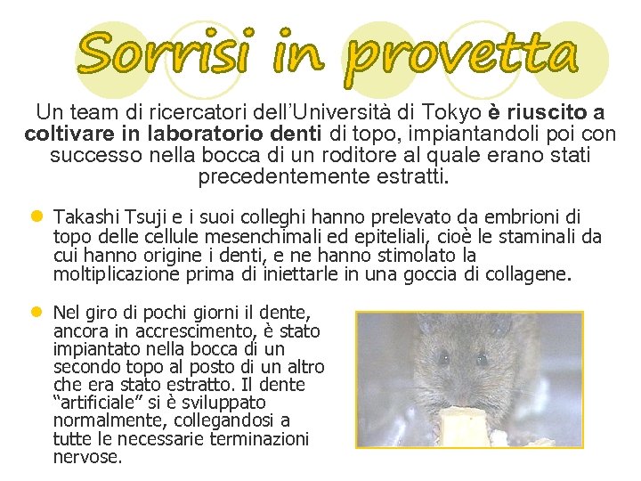 Un team di ricercatori dell’Università di Tokyo è riuscito a coltivare in laboratorio denti