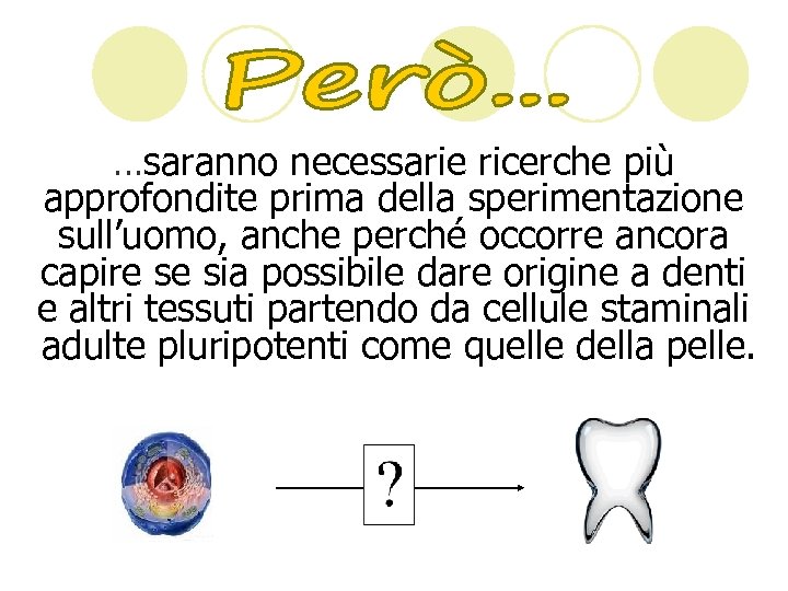 …saranno necessarie ricerche più approfondite prima della sperimentazione sull’uomo, anche perché occorre ancora capire