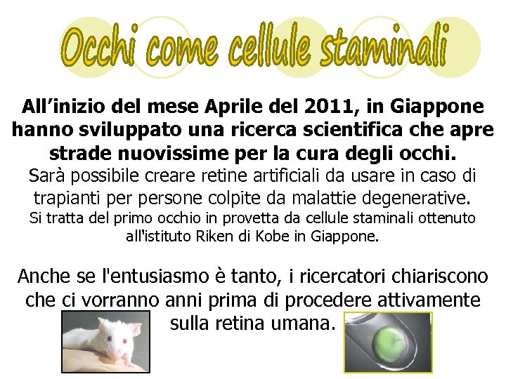 All’inizio del mese Aprile del 2011, in Giappone hanno sviluppato una ricerca scientifica che
