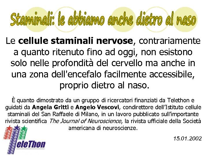 Le cellule staminali nervose, contrariamente a quanto ritenuto fino ad oggi, non esistono solo