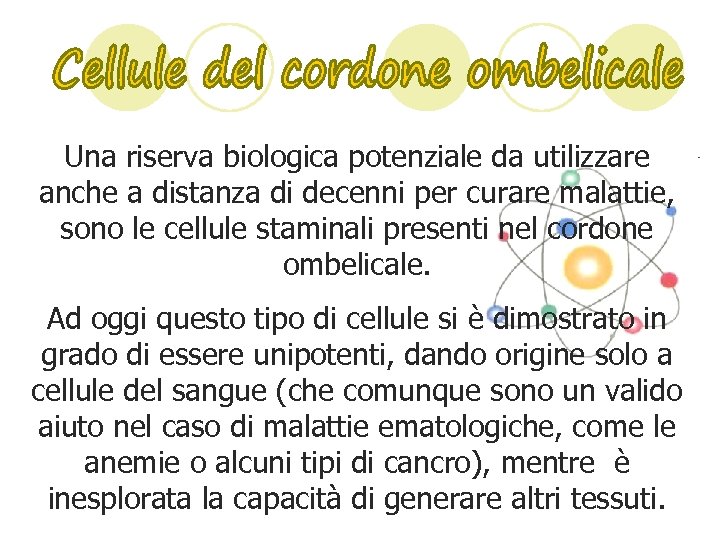 Una riserva biologica potenziale da utilizzare anche a distanza di decenni per curare malattie,