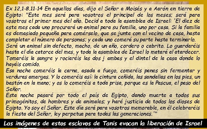 Ex 12, 1 -8. 11 -14 En aquellos días, dijo el Señor a Moisés