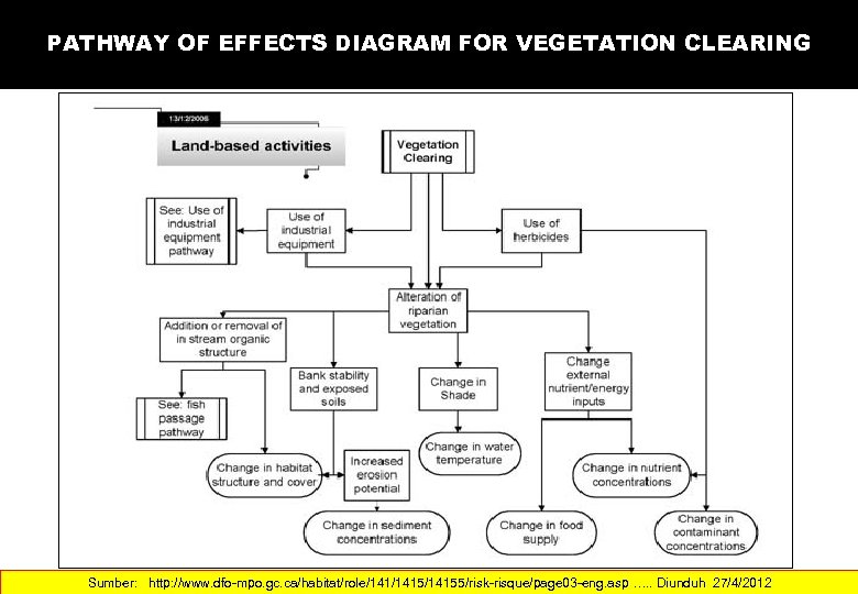 PATHWAY OF EFFECTS DIAGRAM FOR VEGETATION CLEARING Sumber: http: //www. dfo-mpo. gc. ca/habitat/role/1415/14155/risk-risque/page 03