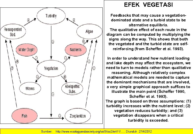 EFEK VEGETASI Feedbacks that may cause a vegetationdominated state and a turbid state to