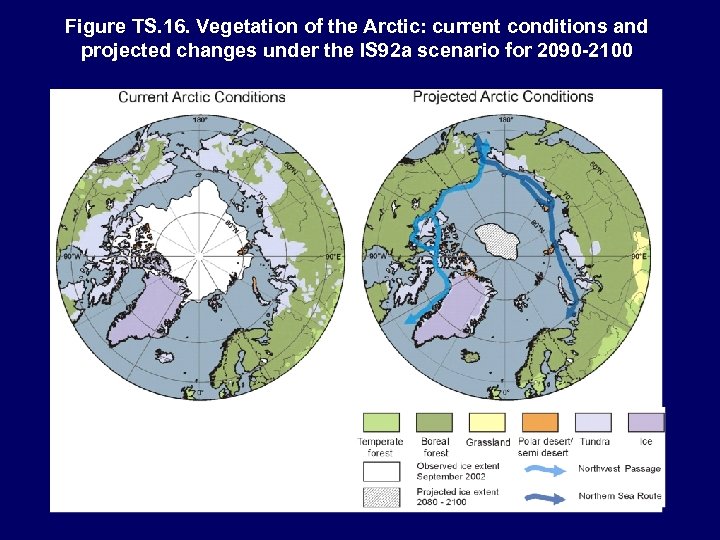 Figure TS. 16. Vegetation of the Arctic: current conditions and projected changes under the