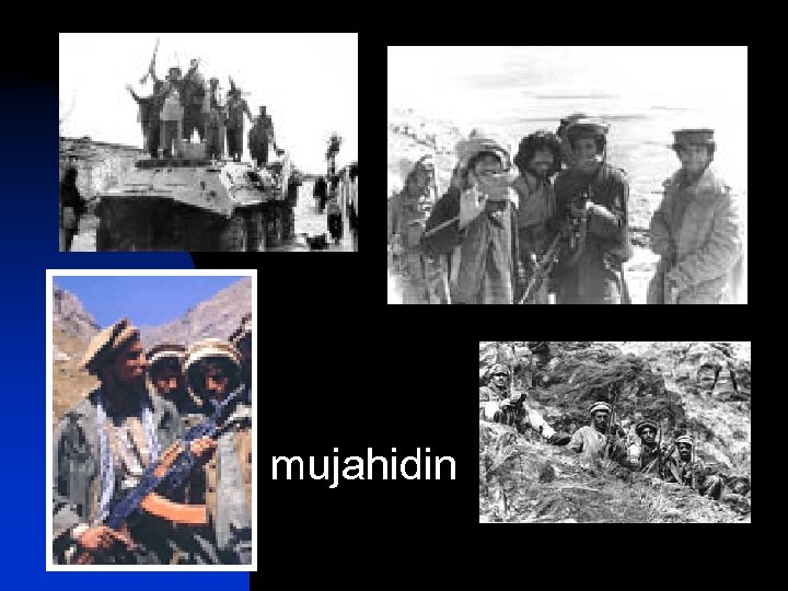 mujahidin 