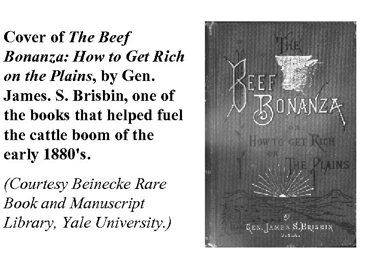 Cover of The Beef Bonanza: How to Get Rich on the Plains, by Gen.