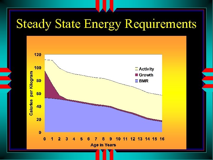 Steady State Energy Requirements 