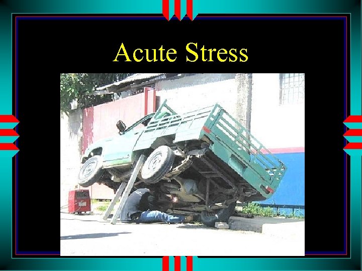 Acute Stress 
