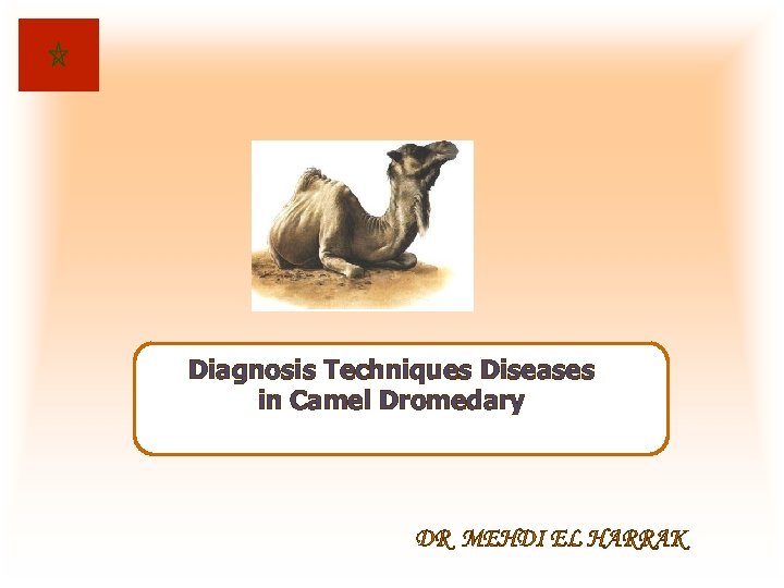 Diagnosis Techniques Diseases in Camel Dromedary DR MEHDI EL HARRAK 