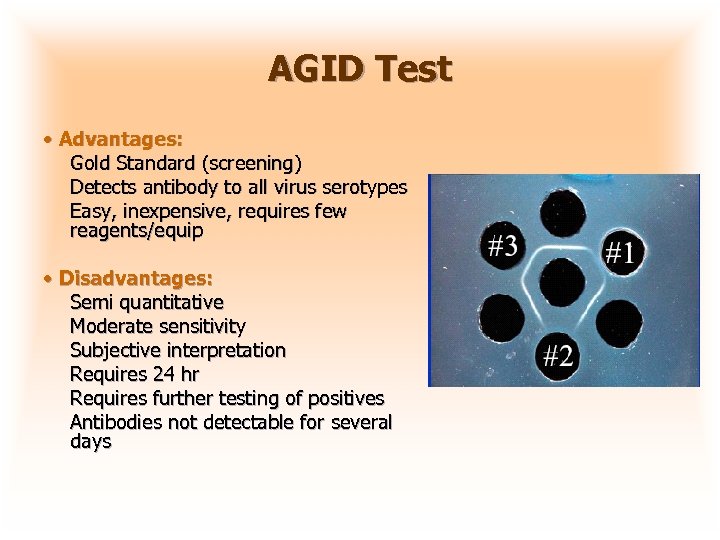 AGID Test • Advantages: Gold Standard (screening) Detects antibody to all virus serotypes Easy,