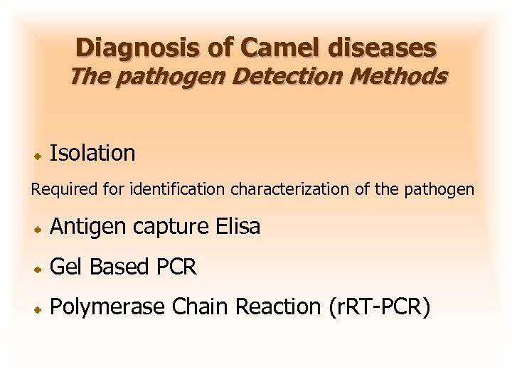 Diagnosis of Camel diseases The pathogen Detection Methods Isolation Required for identification characterization of