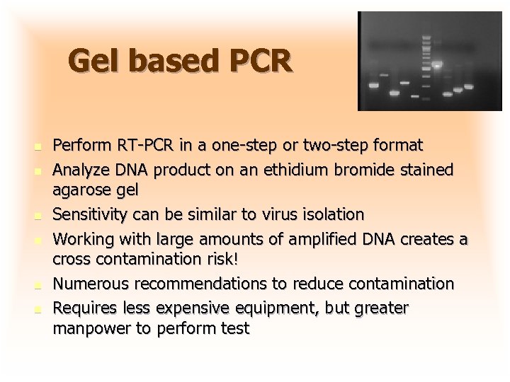 Gel based PCR n n n Perform RT-PCR in a one-step or two-step format