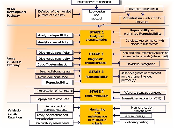 Preliminary considerations Assay Development Pathway Definition of the intended purpose of the assay Analytical