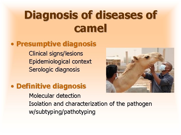 Diagnosis of diseases of camel • Presumptive diagnosis Clinical signs/lesions Epidemiological context Serologic diagnosis