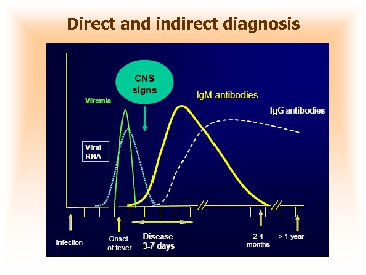 Direct and indirect diagnosis 